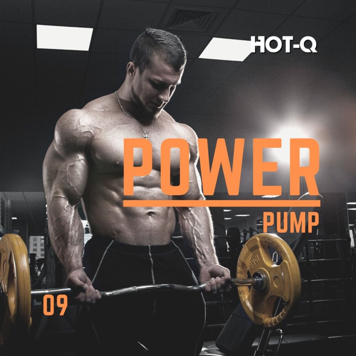 Album cover of Power Pump 009