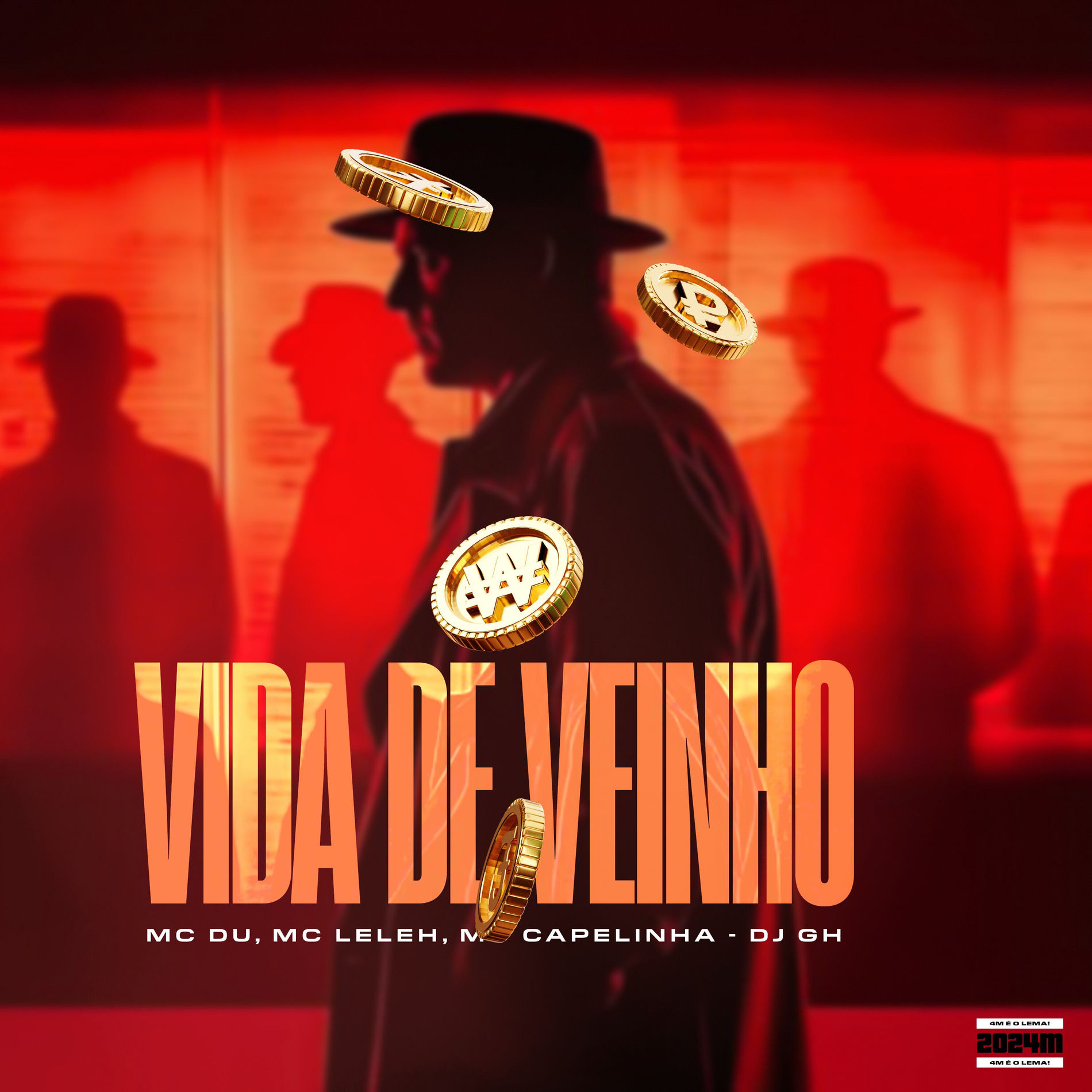 Album cover of Vida de Veinho