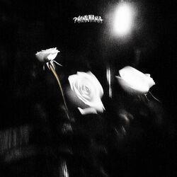Cover of Scars