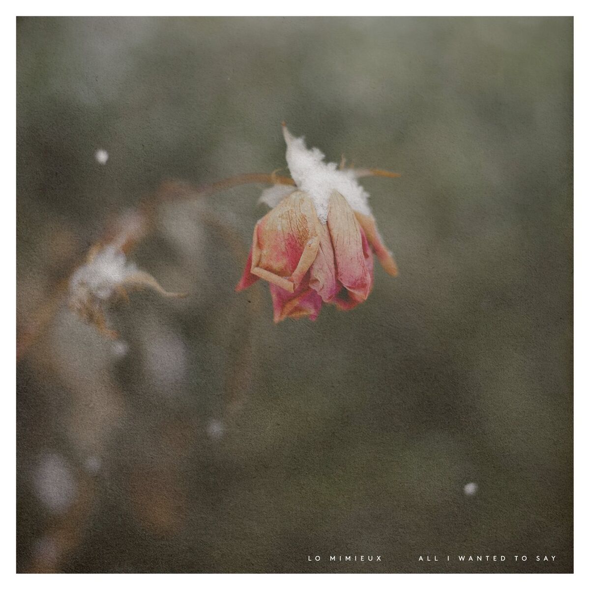 Album cover of All I Wanted to Say