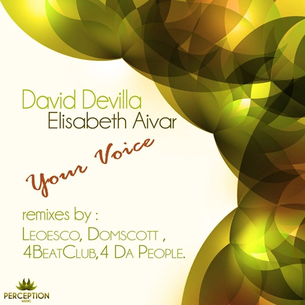 Picture of Your Voice