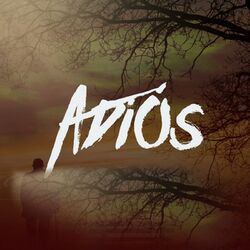 Cover of A Dios
