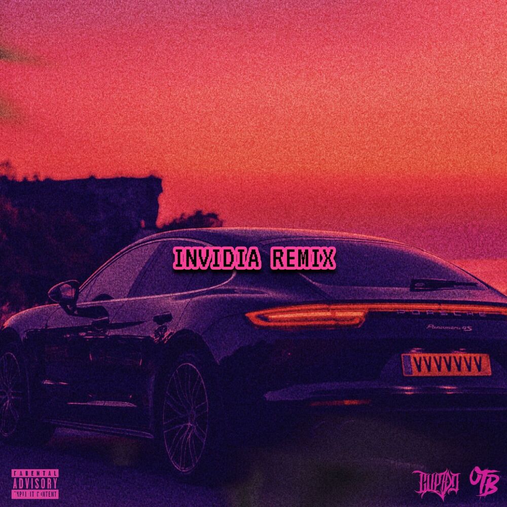 Picture of INVIDIA (RMX)