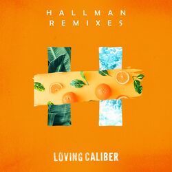 Cover of Hallman Remixes