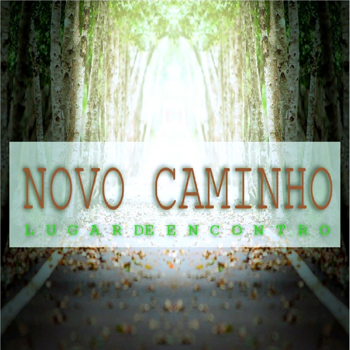 Album cover of É de Coração