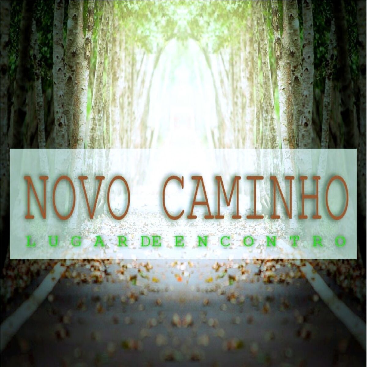 Album cover of Lugar de Encontro