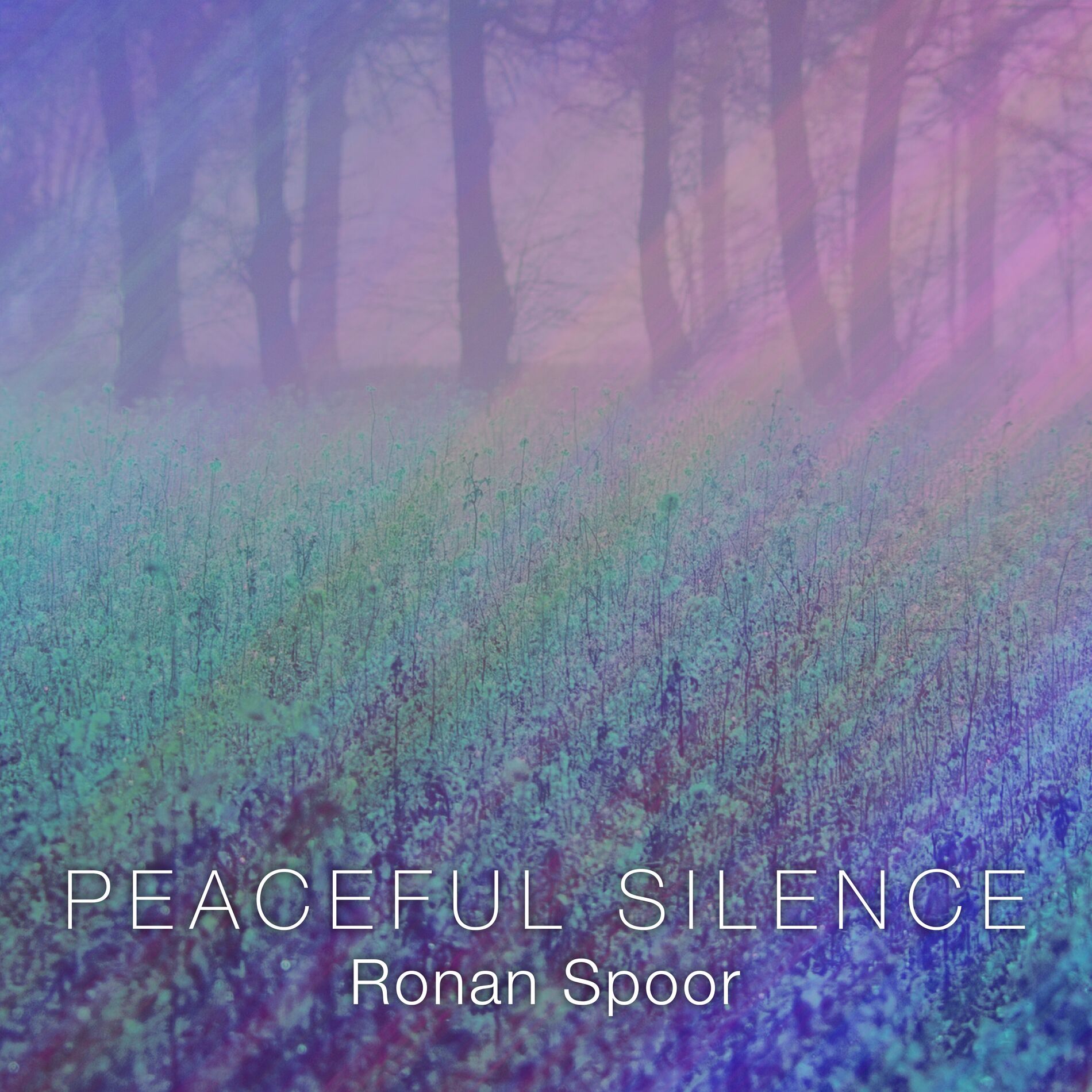 Album cover of Peaceful Silence