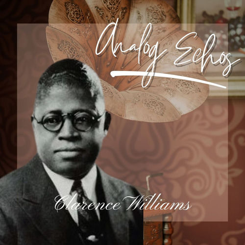 Analog Echos sleeve