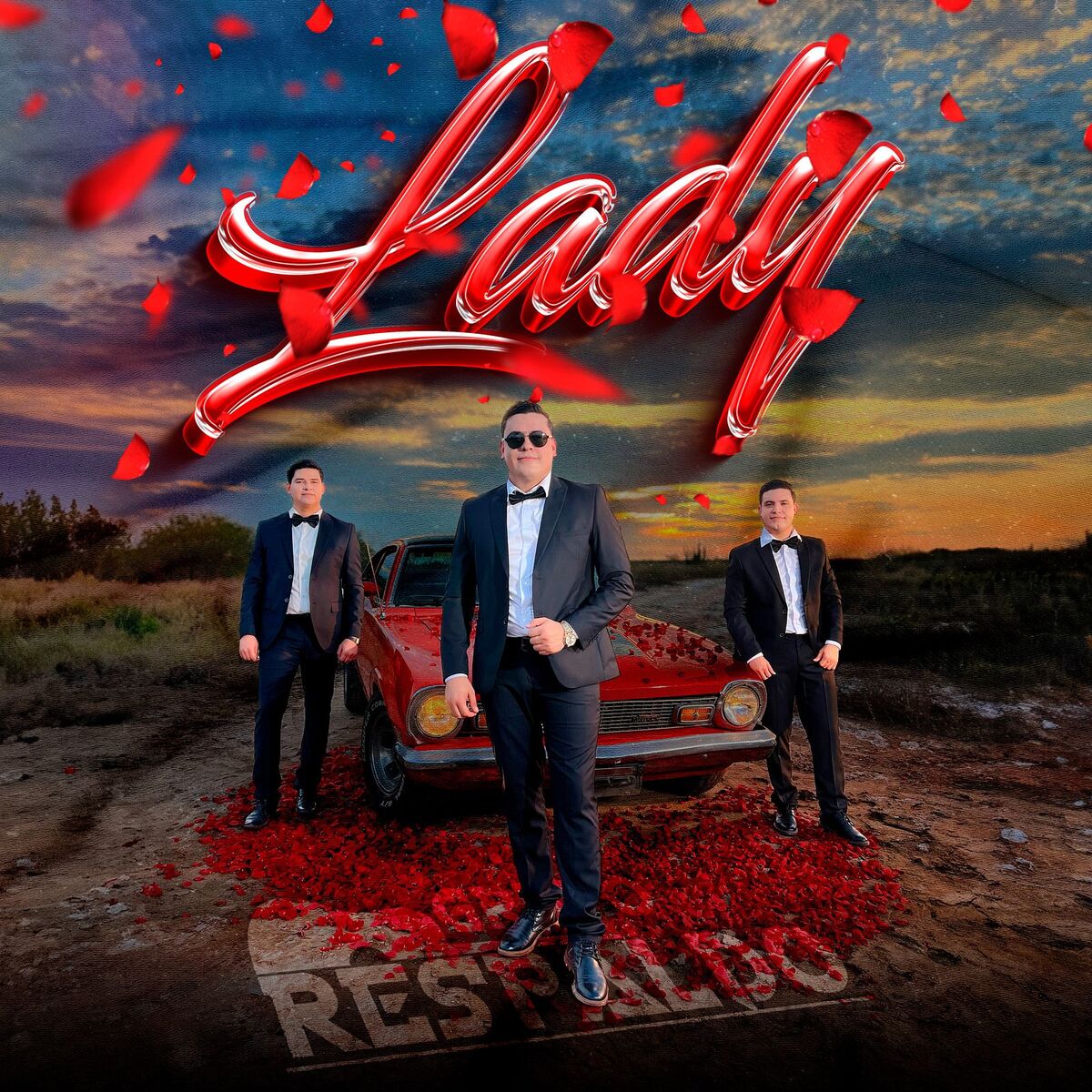 Album cover of Lady
