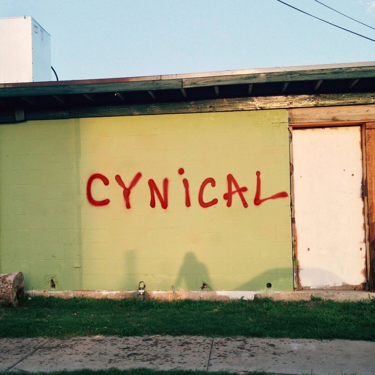 Album cover of Cynical