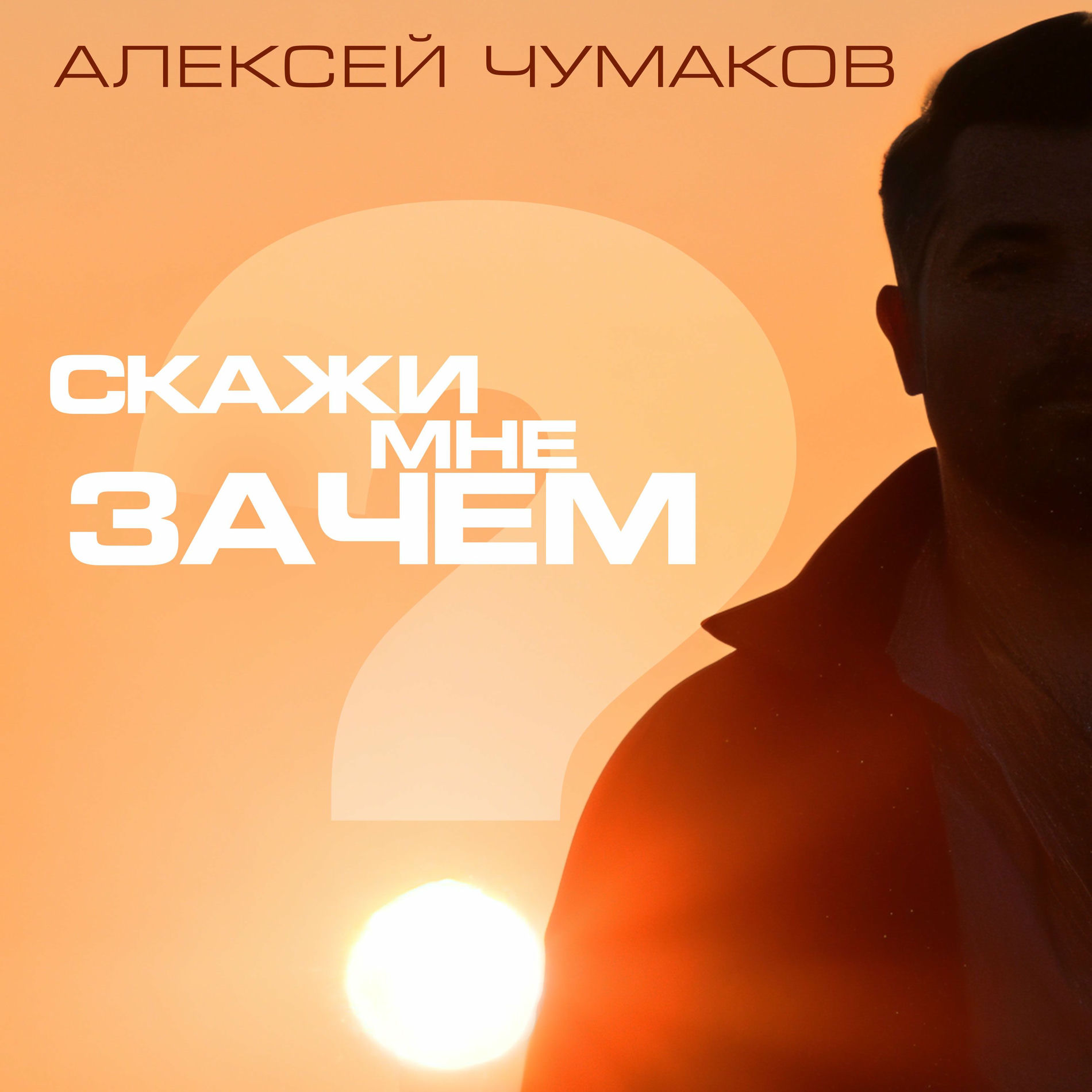 Album cover of Скажи мне зачем (Karaoke Version)