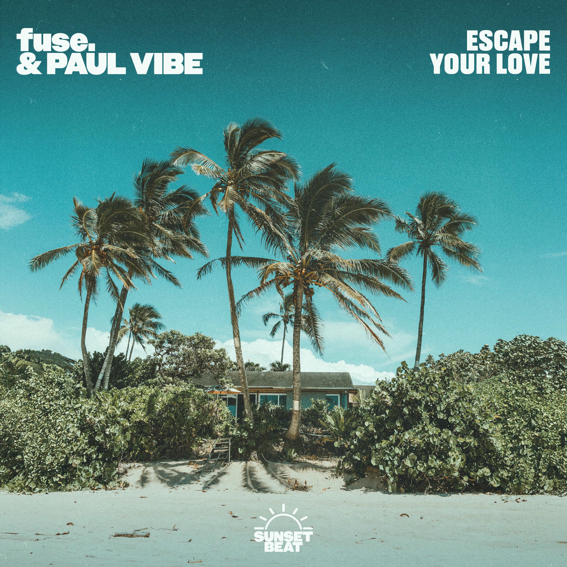 Album cover of Escape Your Love