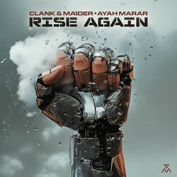 Cover of Rise Again