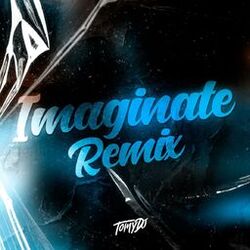 Cover of Imaginate en la Playa los 2 (Remix DJ)