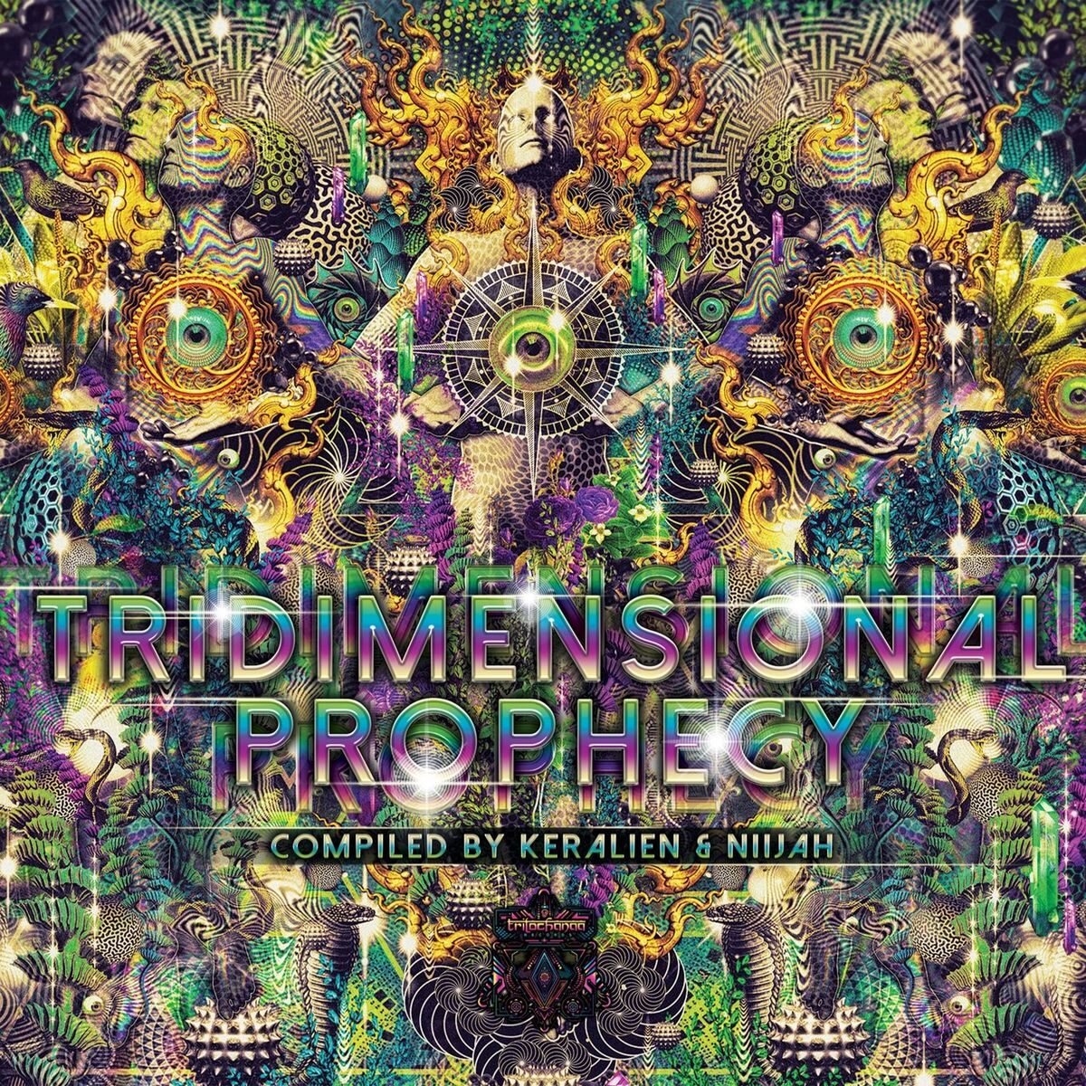 Album cover of Tridimensional Prophecy