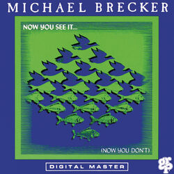 Cover of Now You See It ... (Now You Don't)