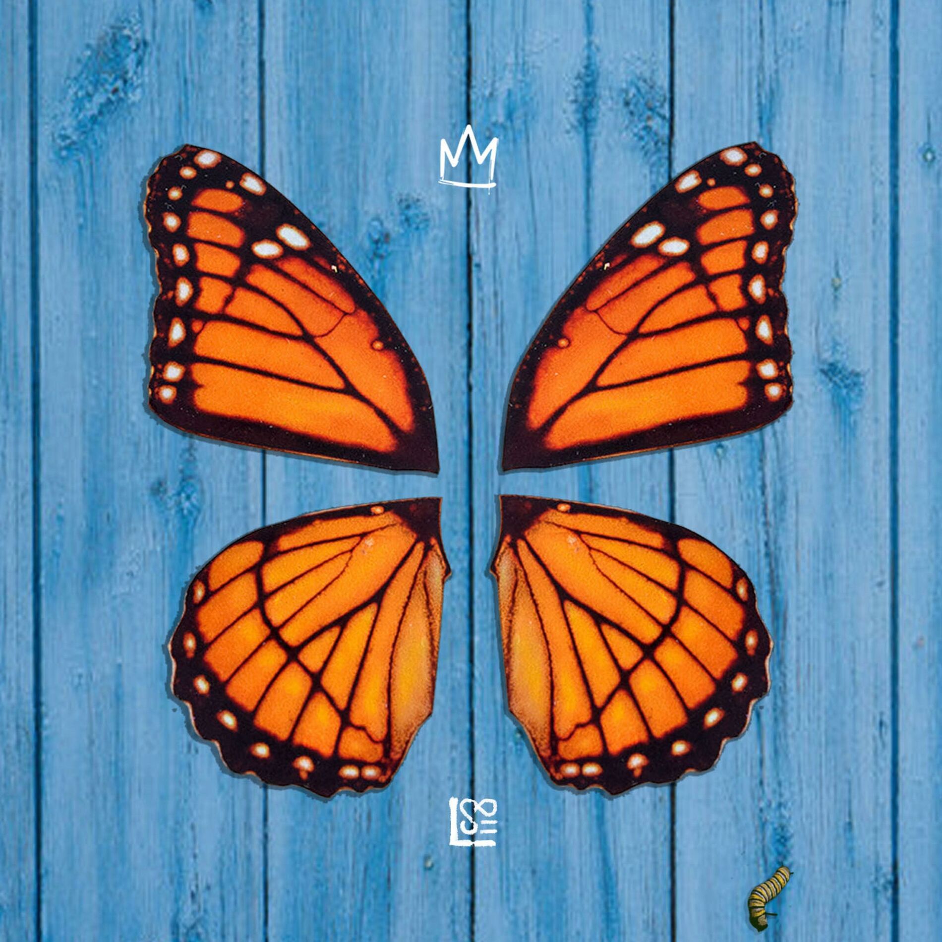 Album picture of MONARCH