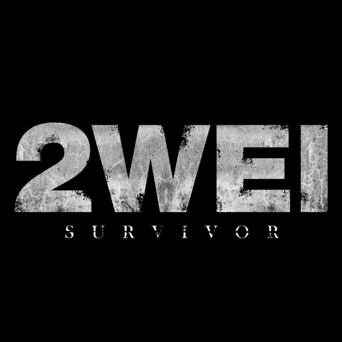 Album cover of Survivor