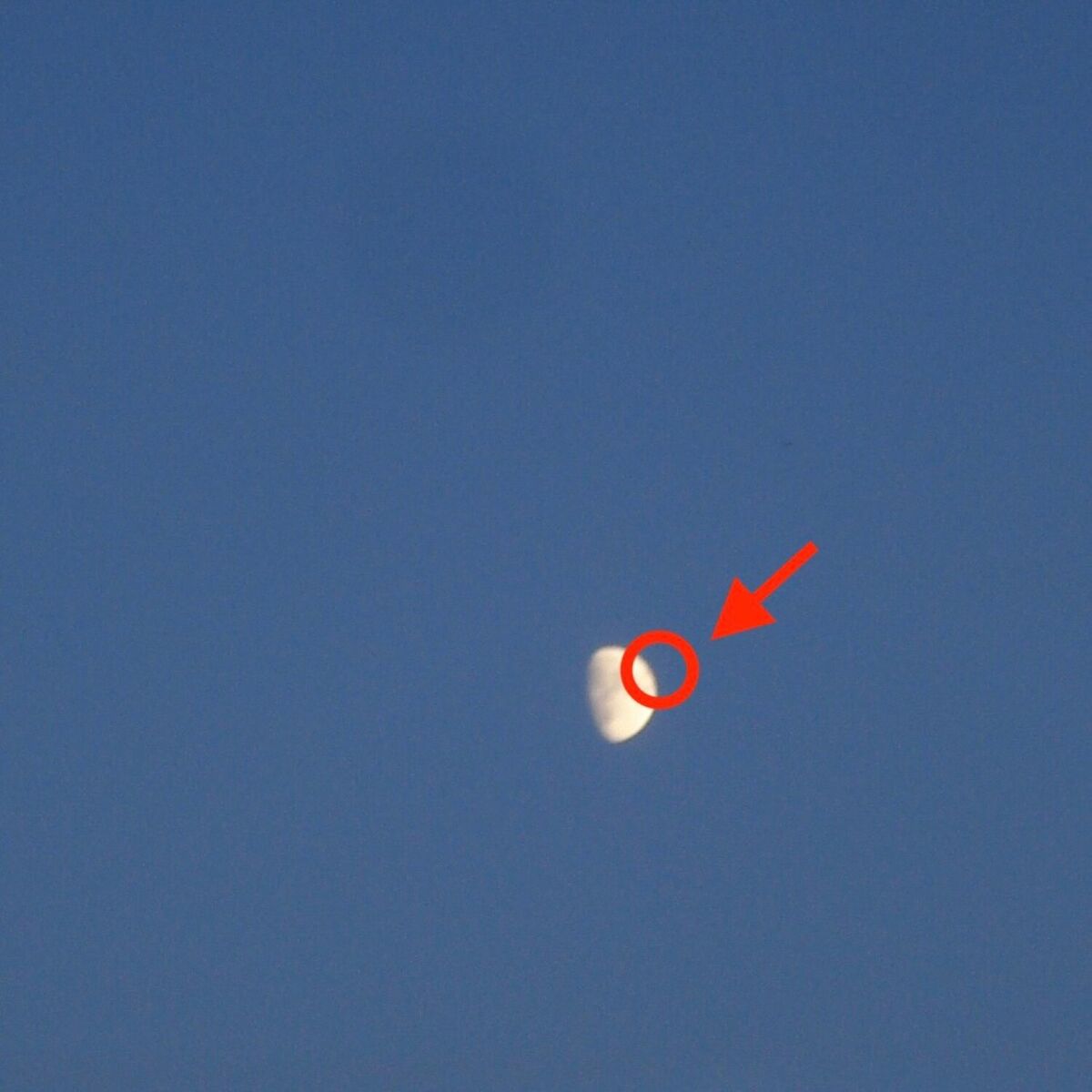 Album cover of FAKE MOON