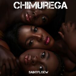 Cover of Chimurega