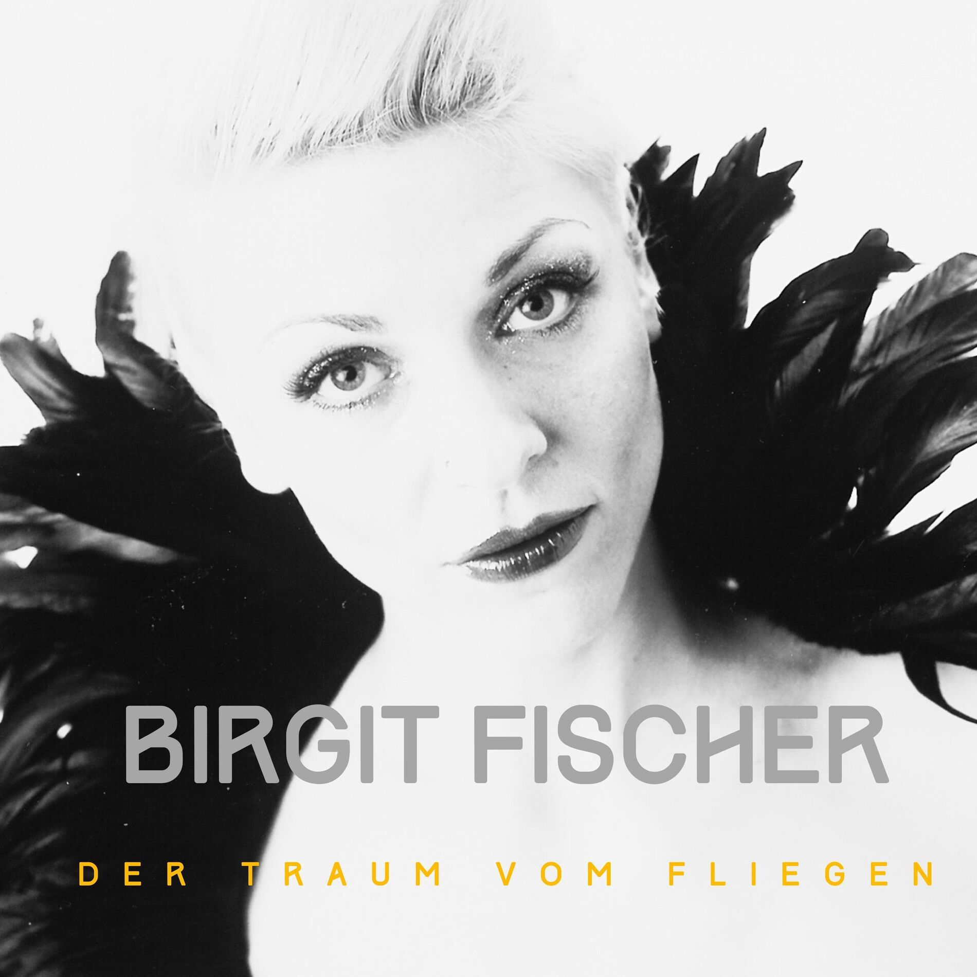 Album cover of Der Traum vom Fliegen