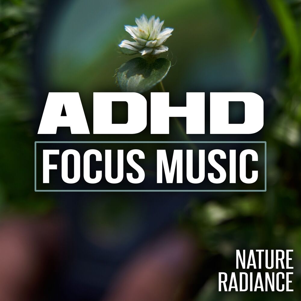 Picture of ADHD Focus Music