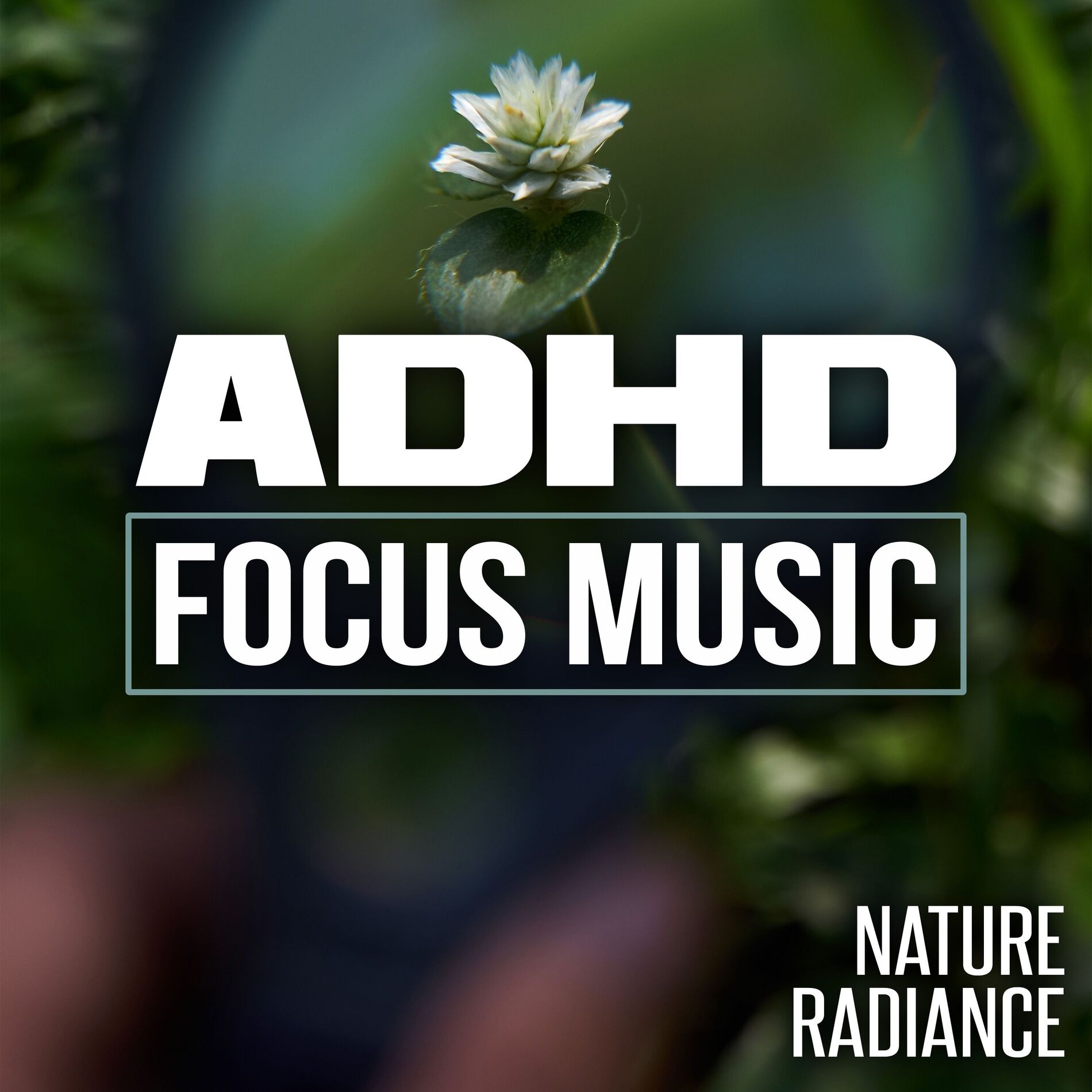 Album cover of ADHD Focus Music
