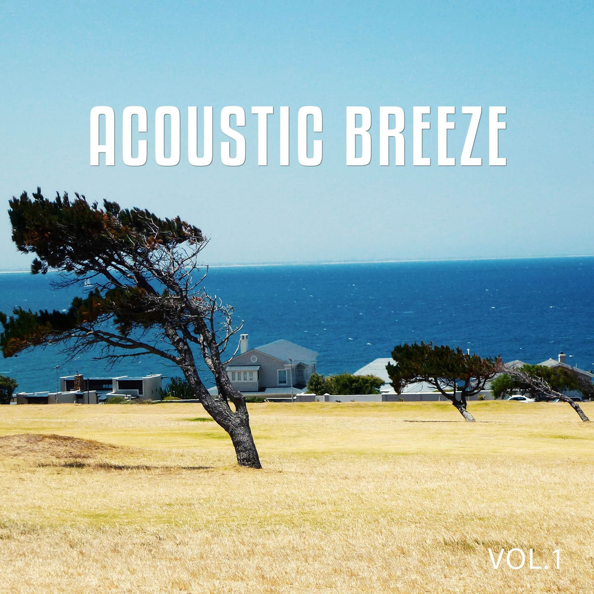 Album cover of Acoustic Breeze, Vol. 1 (Relaxed Natural Chill out Tunes)