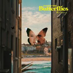 Cover of Butterflies