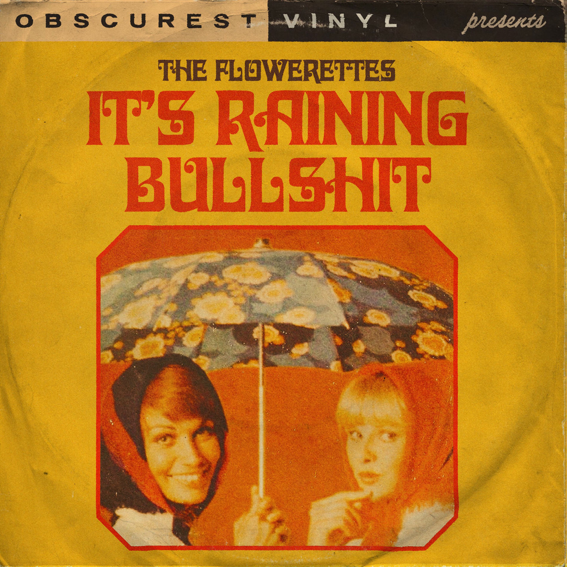 Album cover of It’s Raining Bullshit