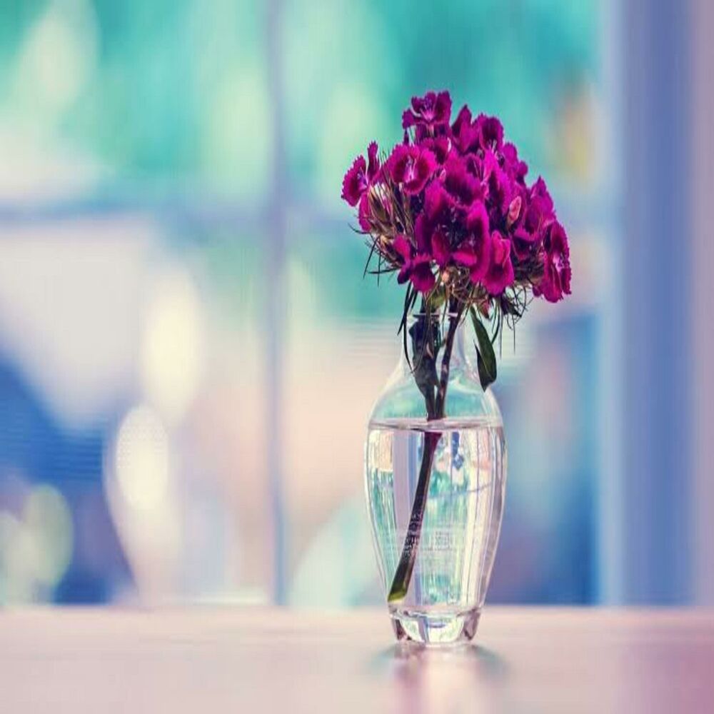 Picture of RESOLVE