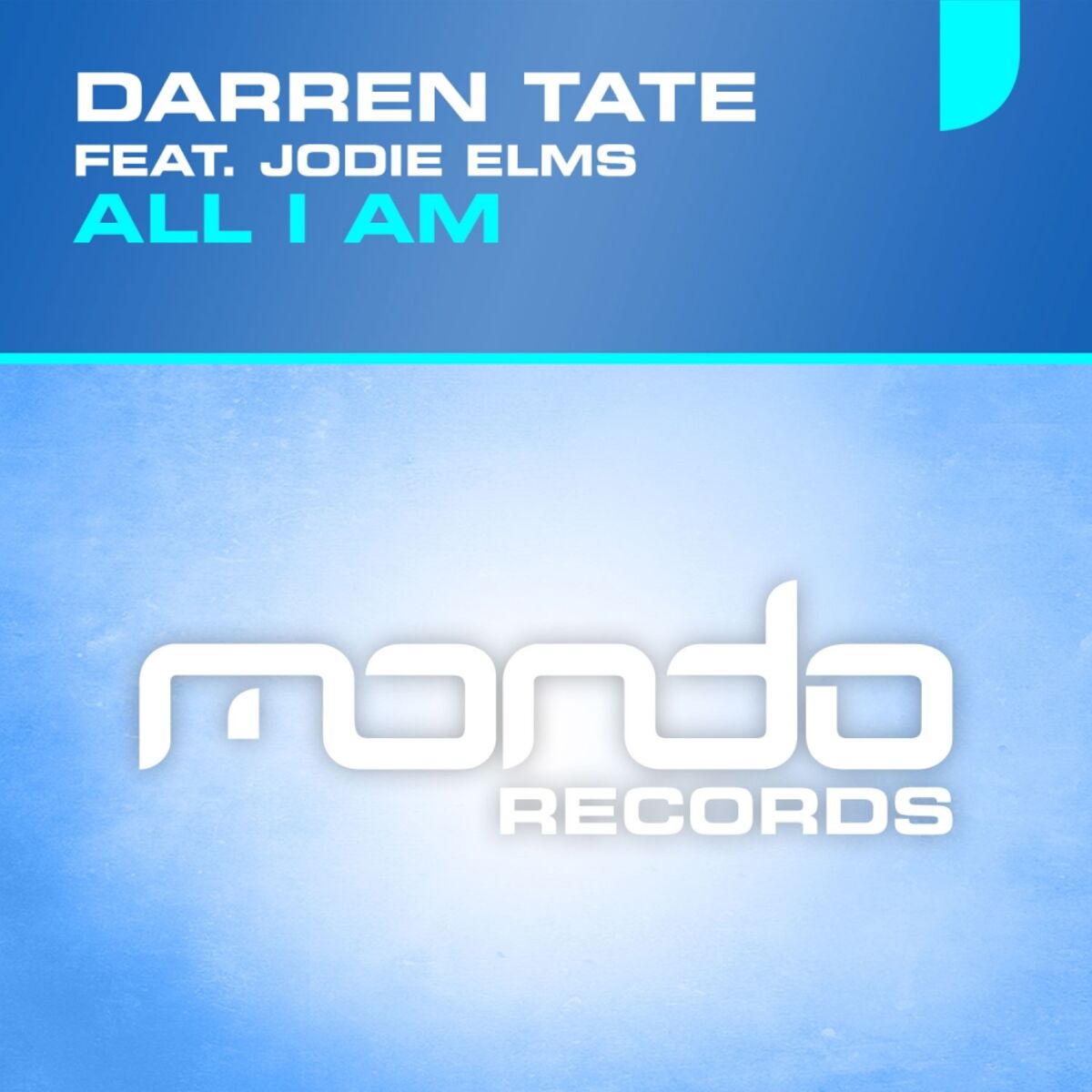 Album cover of All I Am