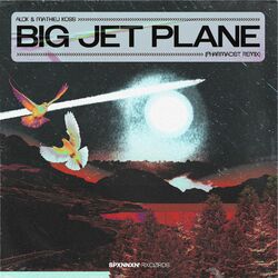 Cover of Big Jet Plane (Pharmacist Remix)