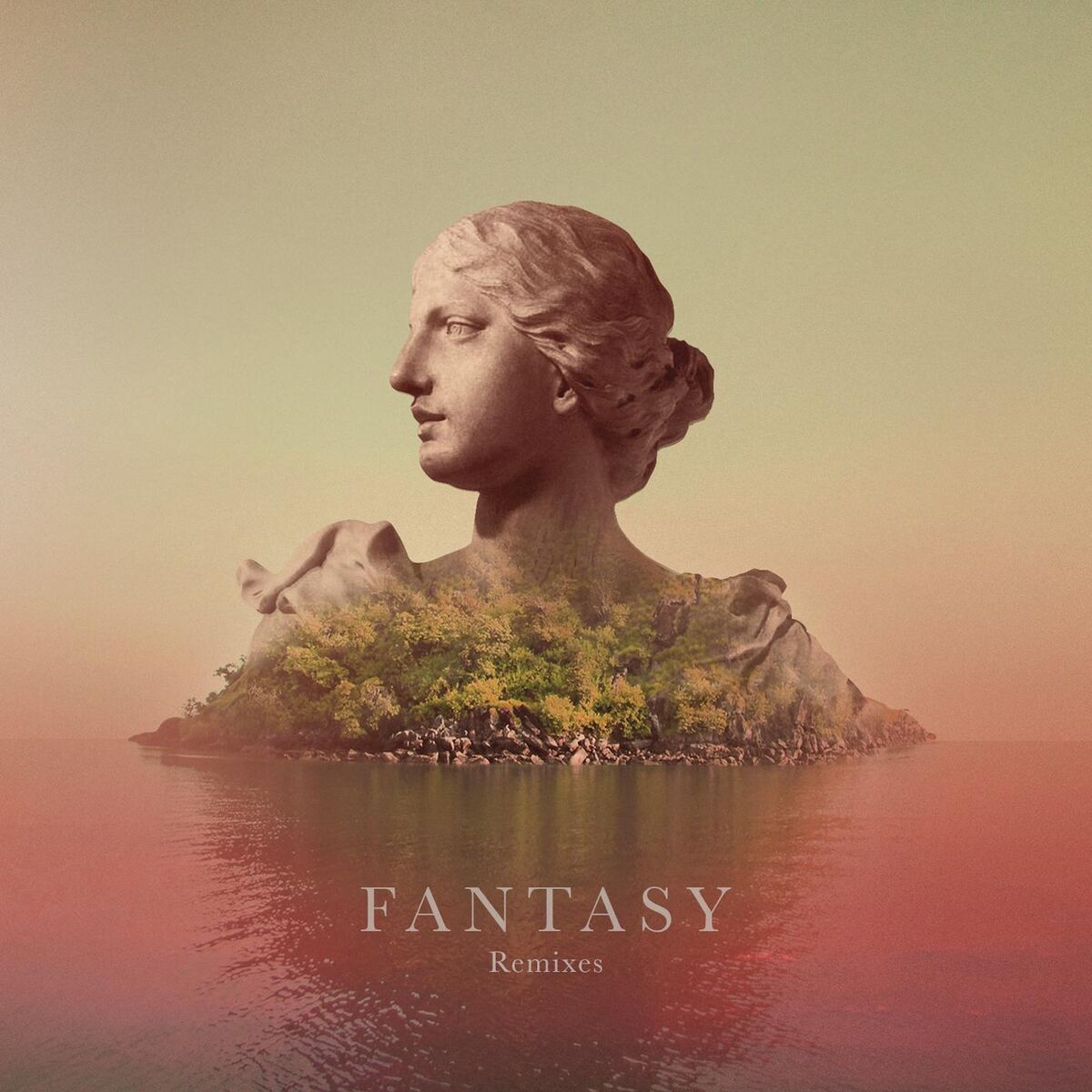 Album cover of Fantasy (Remixes)