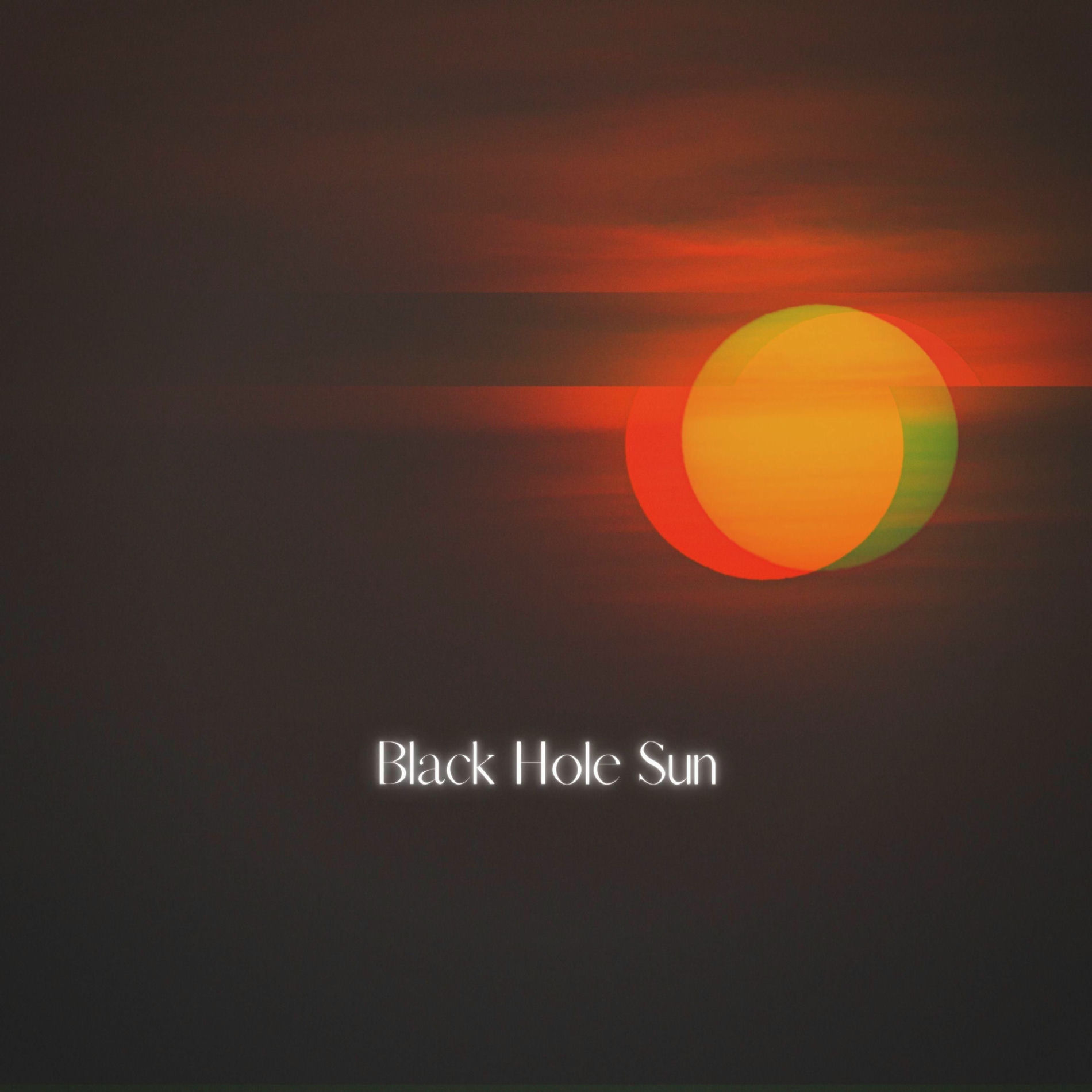 Album cover of Black Hole Sun