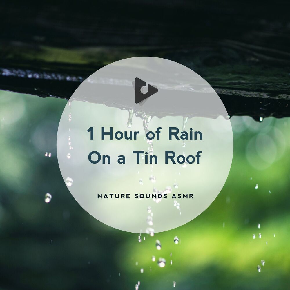 Picture of 1 Hour of Rain On a Tin Roof