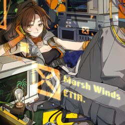 Cover of Marsh Winds