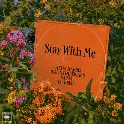 Cover of Stay With Me