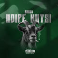 Ndipe Hutsi