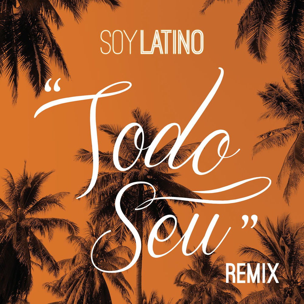 Todo Seu (feat. Well) (Remix) cover
