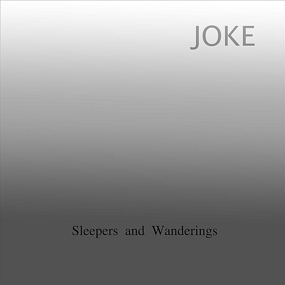 Picture of Sleepers and Wanderings