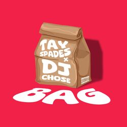 Cover of Bag
