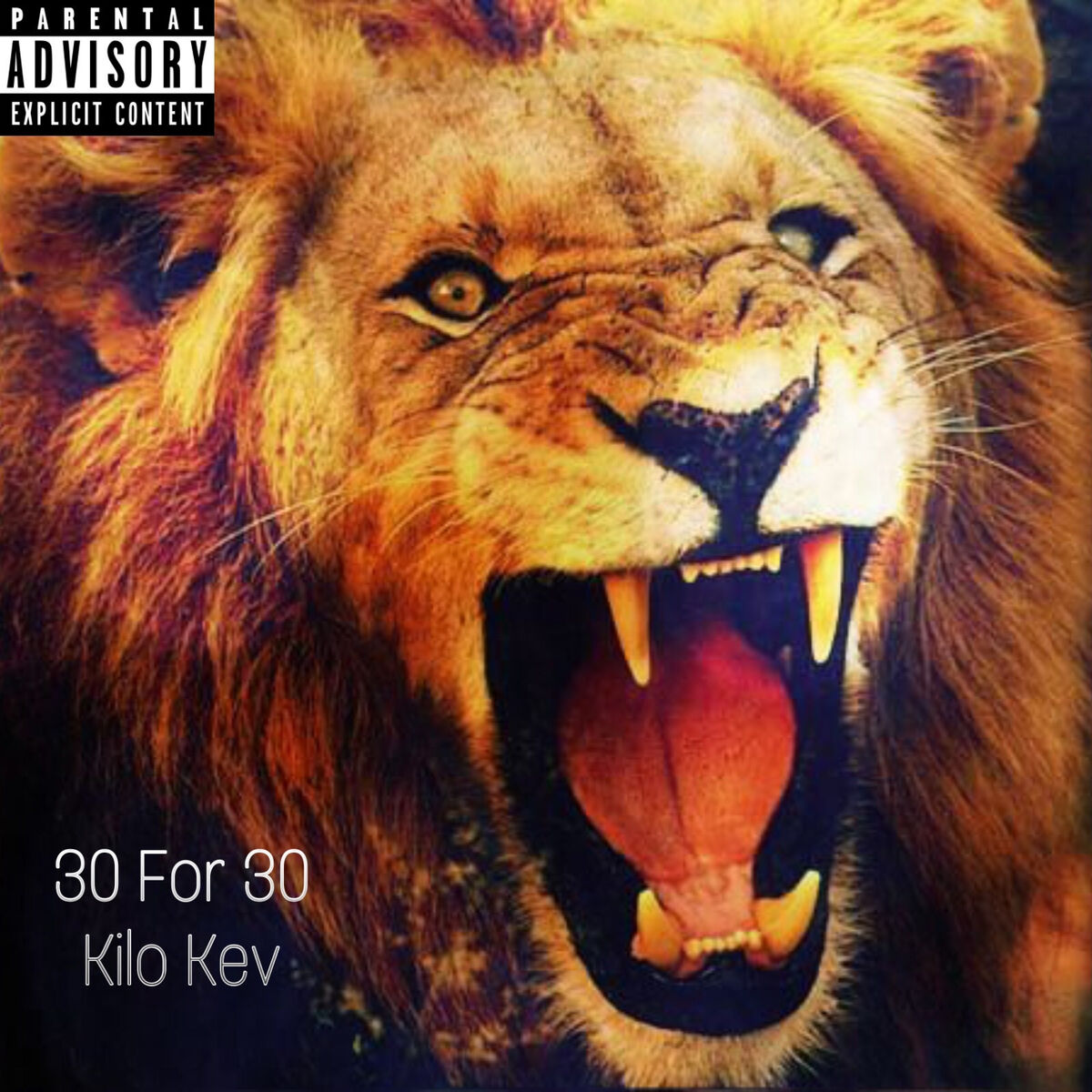 Album cover of 30 for 30, Vol. 1