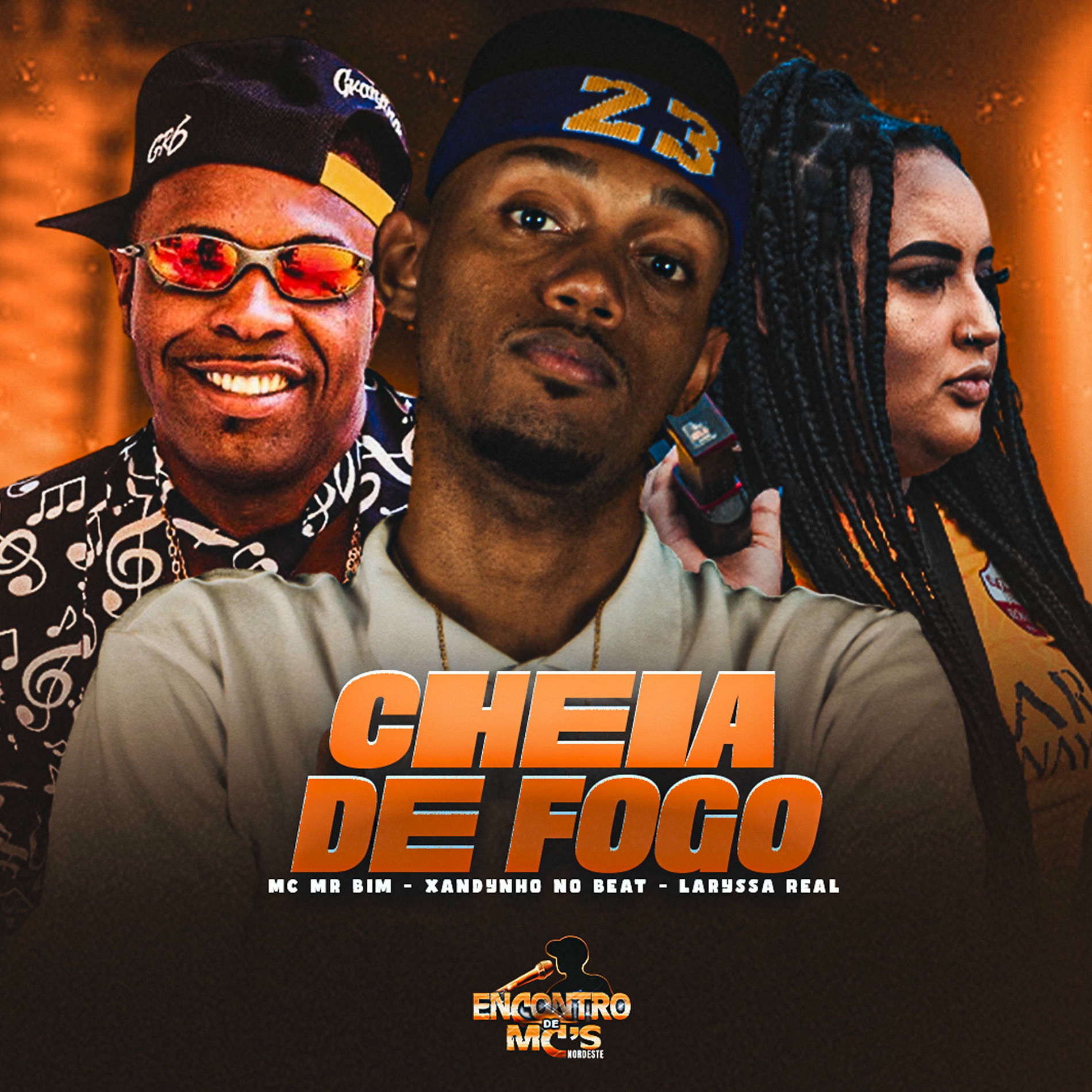 Album cover of CHEIA DE FOGO