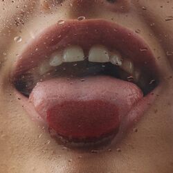 Cover of Котики