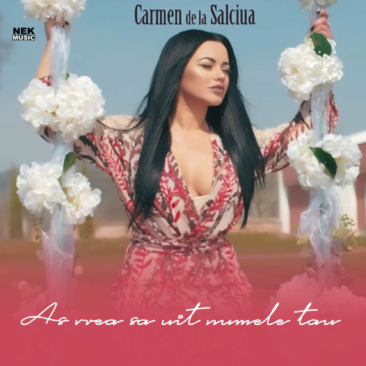 Album cover of As Vrea Sa Uit Numele Tau