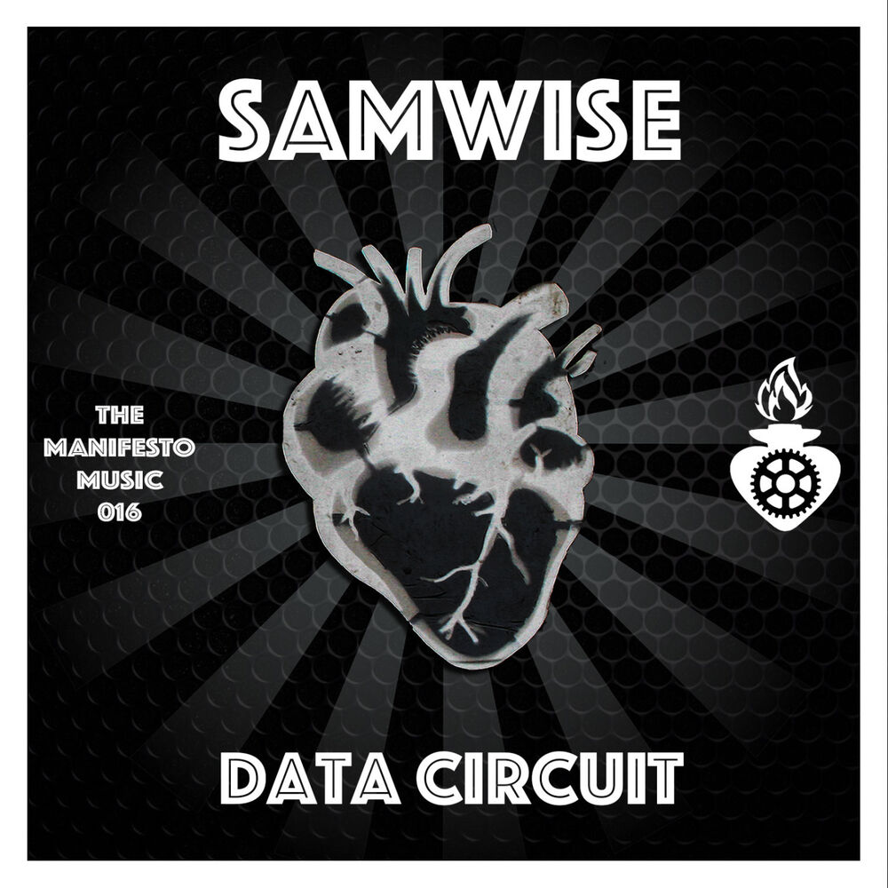 Picture of Data Circuit