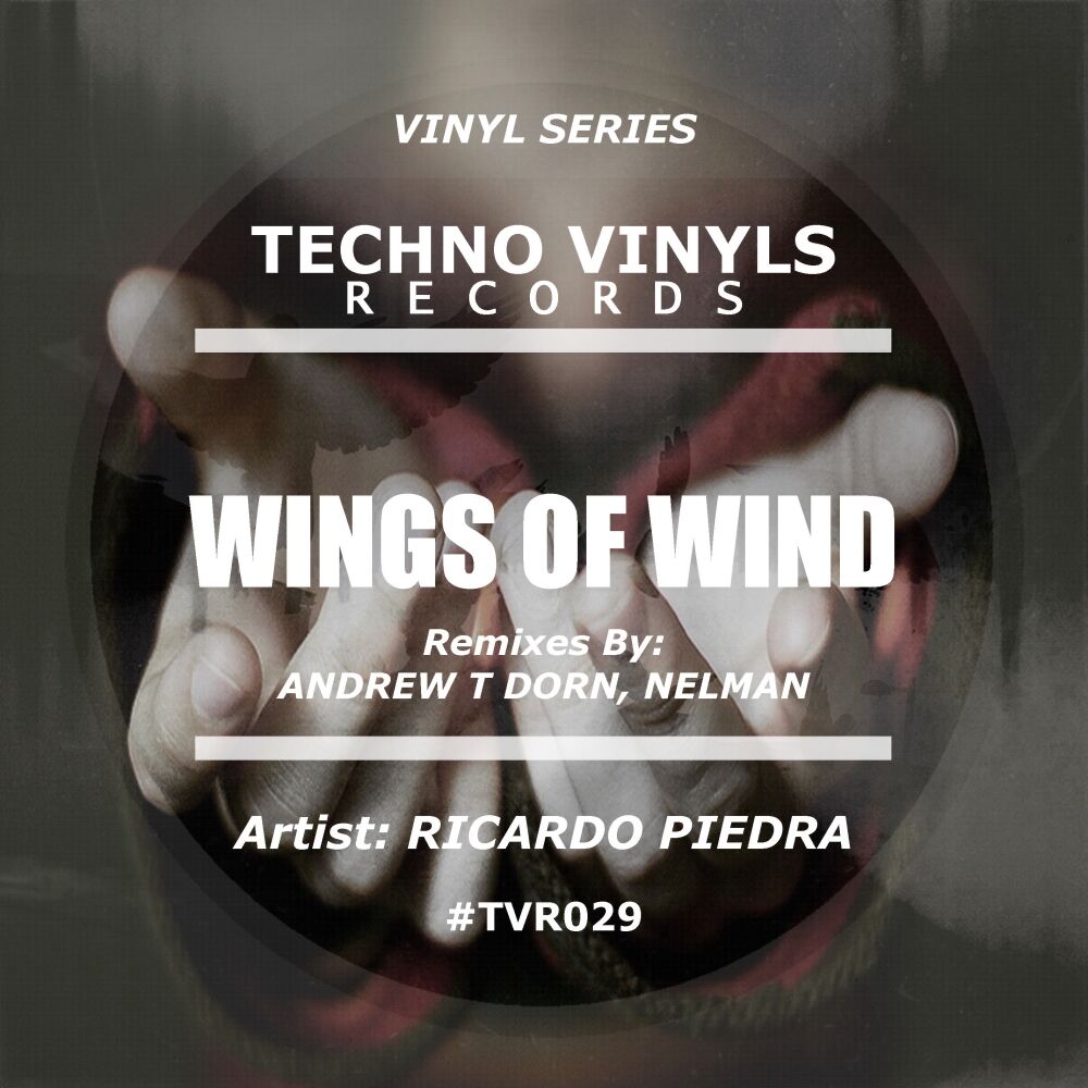 Picture of Wings Of Wind