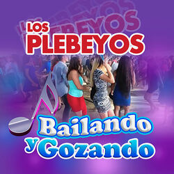 Cover of Bailando Y Gozando