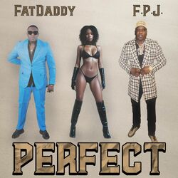 Cover of Perfect